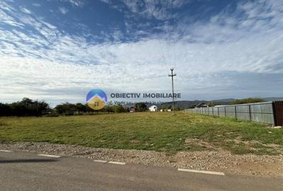 Teren de vanzare 1800 mp Dumbrava Ro?ie - 2