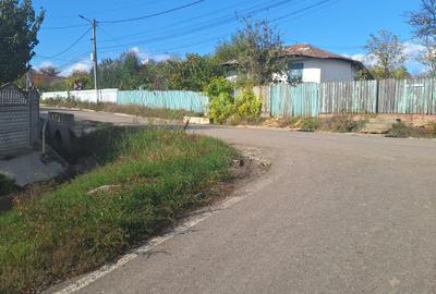 Teren agricol intravilan de 1000 mp, în Proselnici - 2