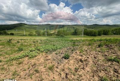 Teren de 4600 mp, în Pâncești