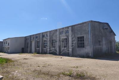 Spațiu industrial, de 1,000 mp, în Bereasca