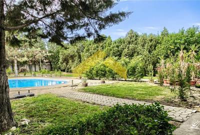 Casă individuală cu 15 camere cu Piscina în Micălaca - 8