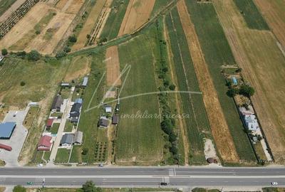 Teren cu potential de dezvoltare –7427 mp in Argeselu, Maracineni, judetul Arges - 3