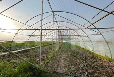 Teren par?ial intravilan 23.500 mp, apa, curent ?i suprav - 2