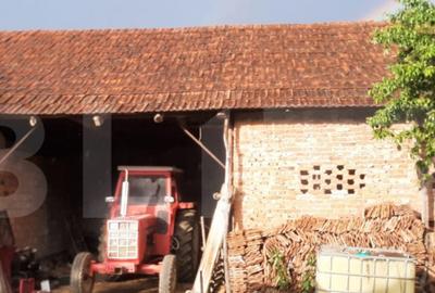 Casă cu 2 camere cu Teren 2595 Mp în Criștelec - 7