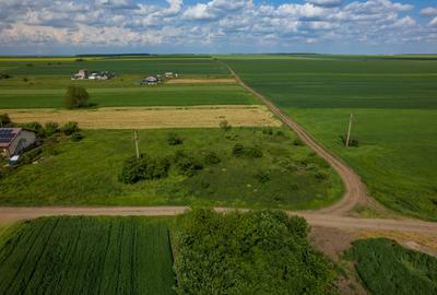 FRUMUSANI - POSTAVARI, TEREN 1500 MP, FRONT 30 M ! - 15