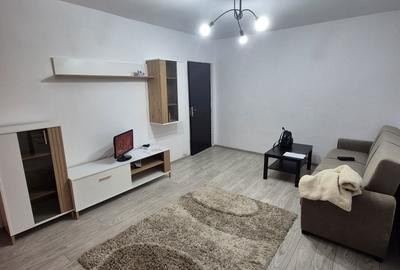 Apartament cu 2 camere nedecomandat în Banat - 8