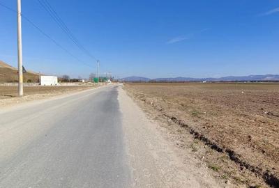 Teren de 6200 mp, în Triaj