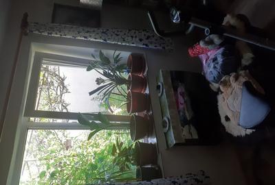 Casă cu 5 camere în Opatița - 5