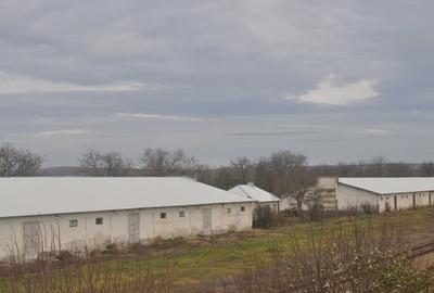 Spațiu industrial, în Ceamurlia de Jos - 9