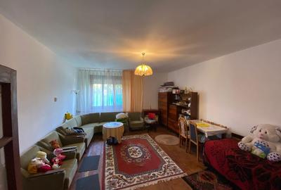 Casa de vacanta , 2 cam, teren 3381mp - 12