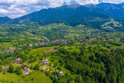 Teren Intravilan in Bran, Brasov (Oaza Ta de liniste la Munte) - 3