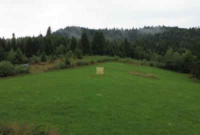 Teren 5023 mp In Bucovina Zona Manastirea Voronet De 07278 - 4