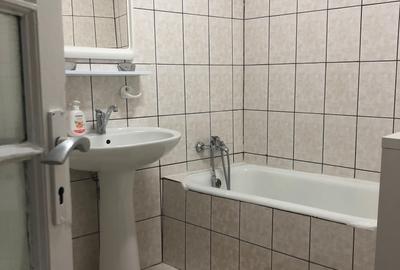 De inchiriat vila independenta pe Vasile Lascar la 5 min de Sos. Stefan cel Mare - 6