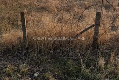 Teren Intravilan - 1.000 mp - Zona Buna - Strazi Asfaltate - 2