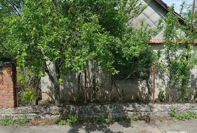 Vind casa cu gradina - 8