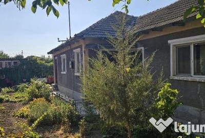 Casă cu 3 camere cu Teren 748 Mp în Palazu Mare - 1