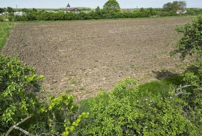 Teren Intravilan de 3,090 mp in Cuvin - 25