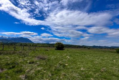 Teren Bran Zarnesti 3 km Castelul Bran 25 km Brasov Teren Bran Zarnesti 3 km Castelul Bran 25 km Brasov - 10