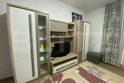 Apartament cu 3 camere decomandat în Calea Urseni - 3