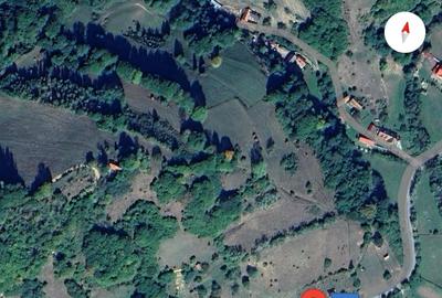 Teren de 10000 mp, în Paltin - 1
