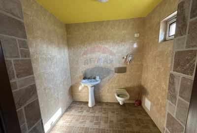 Casa sau Spatiu Dumbraveni langa DN E85 - 21