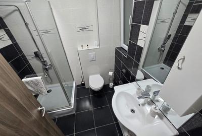 Apartament cu 2 camere decomandat, mobilat în Braytim - 12