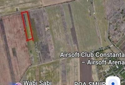 Teren agricol extravilan de 480 mp, în Viile Noi - 3