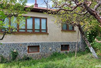 Casă cu 6 camere cu Teren 4500 Mp în Brebu - 3