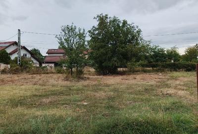 Teren Construcții intravilan de 1570 mp, în Mogoșoaia - 3