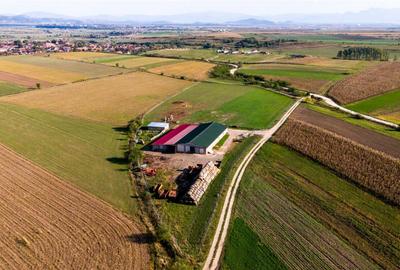 FILM! 18.000 mp,extravilan,agricol constructii, recomandat:f - 6