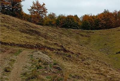 Teren de 2000 mp, în Curățele - 7