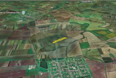 Teren agricol extravilan de 50000 mp, în Est - 17