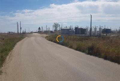 Teren Oarja cu acces facil la Autostrada si Drumul Expres 5800 mp - 2
