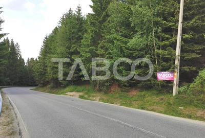 Teren cu puz intravilan in localitatea Paltinis din judetul Sibiu - 4
