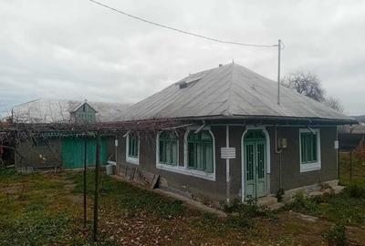 Casa Bodesti 50mp 2 camere bucataria anexe la sosea cu 1500mp teren - 14