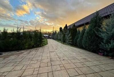 Casă cu 4 camere cu Teren 4500 Mp în Brazi - 6