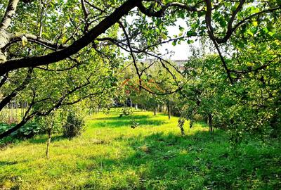 Casă individuală cu 2 camere cu Canalizare în Ultracentral - 5