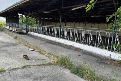 Teren 9.508 mp cu 2 fronturi stradale Sofronea, Arad - 4