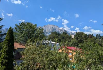 Apartament generos in vila, cu vedere superba catre munte. - 9