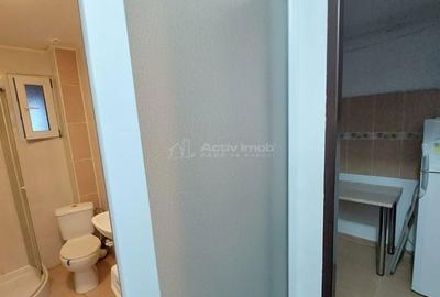 Garsonieră decomandată în Băceni - 2