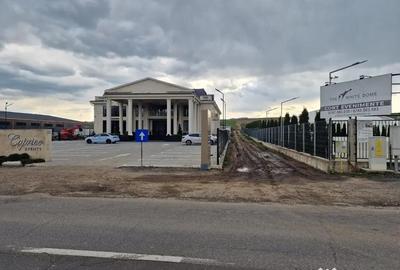 Teren de 10000 mp, în Vest - 3