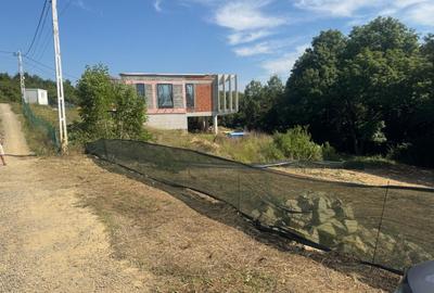 1000 mp , Bucium spre Barnova , in padure , intre case - 3