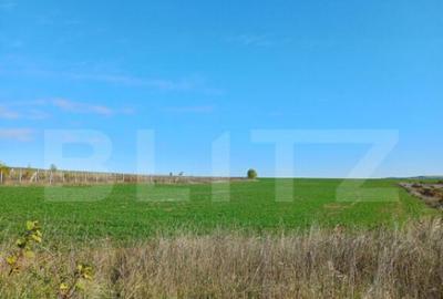 Teren intravilan 2877 mp, in Copaceni - 3