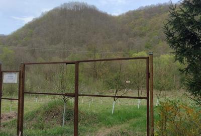 Spațiu comercial, în Boz - 3