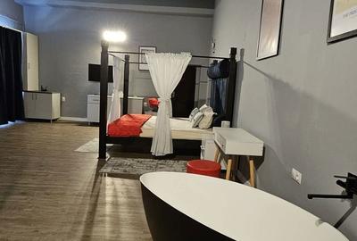 Spațiu comercial, de 46 mp, în Lotrioara - 4