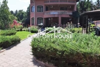 VILA D+P+E+M, 12 camere, piscina , padure, IANCU NICOLAE - 49