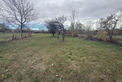 Teren intravilan împrejmuit 2331 mp la strada, toate utilitățile! - 9