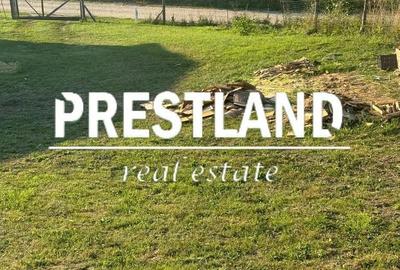 Spațiu comercial, în Șura Mare - 2