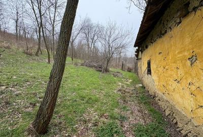 Teren Construcții intravilan de 2038 mp, în Ghercești - 7