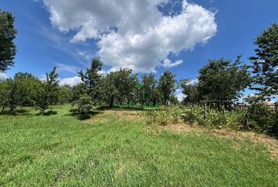 Teren de 3200 mp, în Goranu